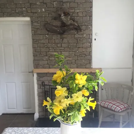 Dom wakacyjny Lynchehan's House, Achill, Tonragee Achill Island